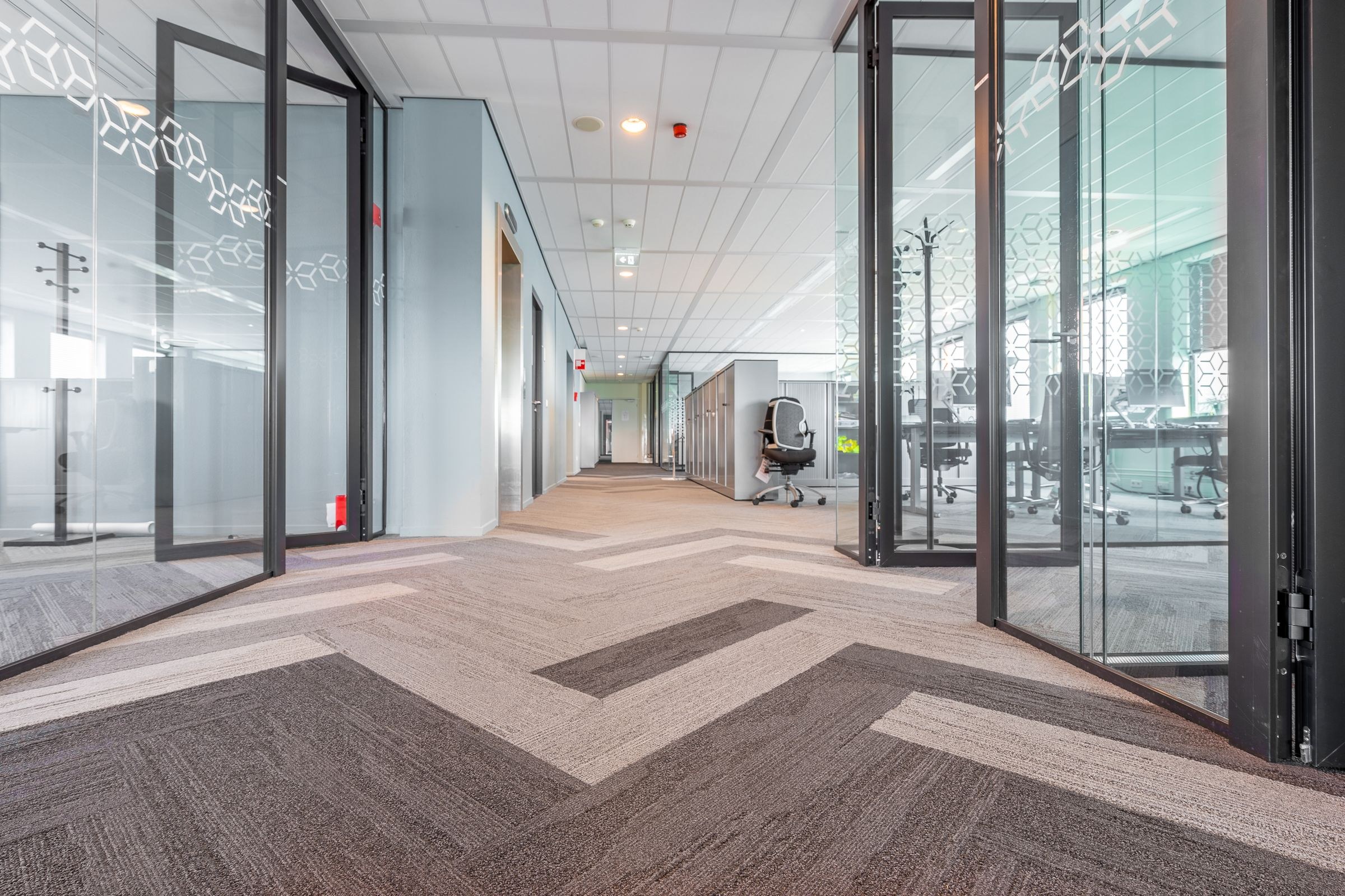 Bright modern office hallway with glass partitions looking into workstations and desks.